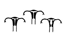 rahim filmi fiyatları