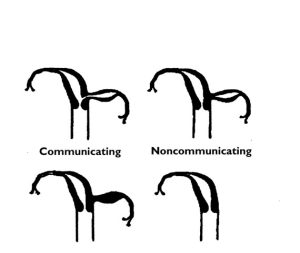 rahim filmi fiyatları